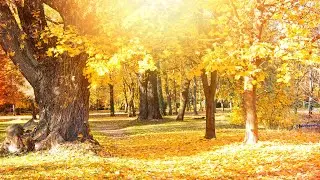Relaxing music 24/7, Work, Travel, Study | Morning songs😍🔥🛴❤️❤️