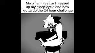 The 24 hour challenge