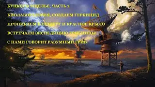 #57 - ATOM RPG. БУНКЕР В УЩЕЛЬЕ И ГОВОРЯЩИЙ ГРИБ.