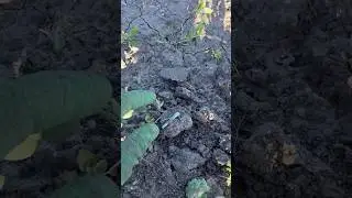 Знайшов