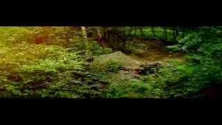 Twixtor. Sony Vegas.