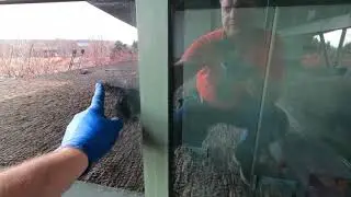 Как мыть окна.