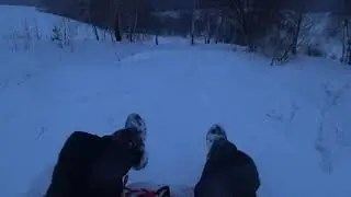 "Фрирайд" на ватрушке