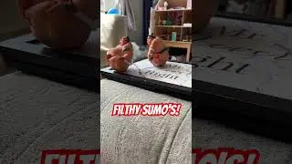 Filthy Sumo’s - Sumo Smackdown - Sumo cars - Remote control #retro #Toy #Sumo