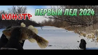 Первый лед 2023-2024 года! Опасный первый лед! Рыбалка в старицах! Ловлю ротана!