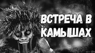 Встреча в камышах  страшные истории на ночь