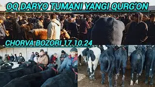 SAMARQAND V OQ DARYO TUMANI YANGI QURG'ON CHORVA BOZORIDAN NARXLAR 17.10.24 ELYOR UZ 📠 901998090