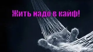 Кайф на санках