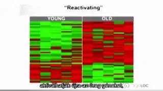 R2 2012 EMEA Mark Bartlett Phd Presentation 2 HUN