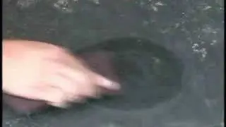 Patching Your Pond Liner
