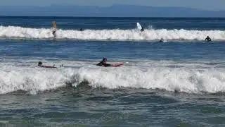Surfing in Santa Cruz(4)
