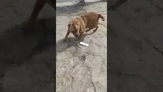 #маленькая