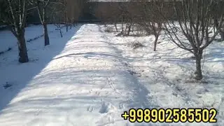 22 января 2023 г.