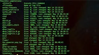 2 - Common operational commands in Junos