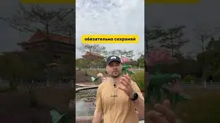 Самый красивый парк Гуанчжоу🏞️ 