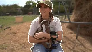 Baby Goat Farm IRL - 3/29/24
