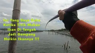 Tidak Di Sangka !!! Baru Pertama Mancing Di Spot Ini Ternyata Ikannya Banyak