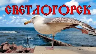 Светлогорск, июль 2024.