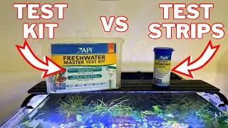 Aquarium Water Tests! Strips Vs Master Kit | What’s Best For You?