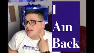I Am Back! (Short Tank Updates)