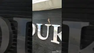 Video Mesum Anak perumahan