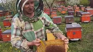 Как правильно розпечатывать прошлогодний мёд.