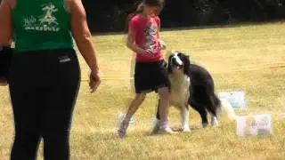 Rally Obedience Melina mit Enya 22.06.2014