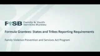 Formula Grantees: States and Tribes Reporting Requirements