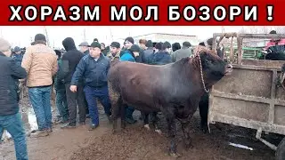 ХОРАЗМ БОГОТ МОЛ БОЗОРИ ! 9-ФЕВРАЛ 2022г ХОРАЗМ БОЗОР.
