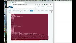 Project option: Using NetLab
