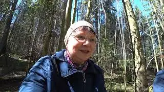 Собираем крапиву, щавель, сныть. Нашли в лесу деньги! 19 мая 2024 в лес.