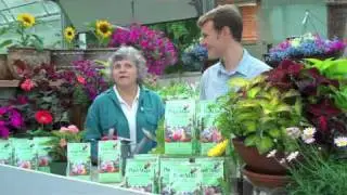 Roni Lahage uses Organic Plant Magic