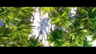 Nature | Cinematic Video