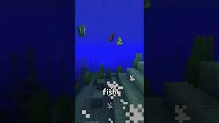 The RAREST Mob Drops In Minecraft