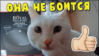 Робот пылесос Royal WELLFORT из магазина Магнит за 3999р Обзор.