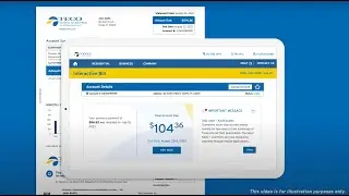 Bill Tutorial Video for Tampa Electric