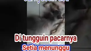 OJI SAMBIL NYUSUIN ABU DI TUNGGU PACAR SETIA MENANTI.