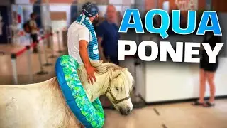 Aller à la piscine faire de l’Aqua-poney - Défi Prank - Les Inachevés