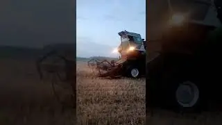 Комбайн Нива. Уборка ячменя 2021