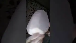 Глыба белгородского мела #chalk