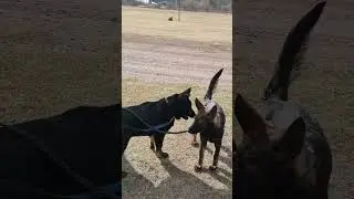 Новое знакомство