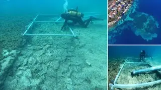 News: Scientists make 'astonishing' discovery while studying 7,000-year-old underwater city