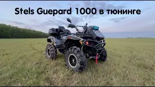 Stels Guepard 1000 another cool project! The price for Gepard 1000 has decreased by 130 thousand