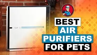 Best Air Purifiers For Pets 🐕: The Best Options Reviewed | HVAC Training 101