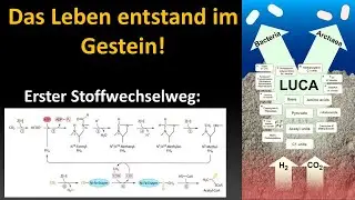 Der steinige Weg zum Leben (Vorlesung Entstehung des Lebens Teil 11)
