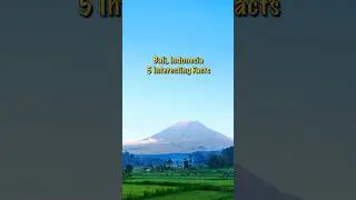 5 Cool Facts About Bali, Indonesia #shorts