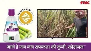 Coragen® Insecticide for Sugarcane | Crop Protection Products | UP Farmers | FMC India