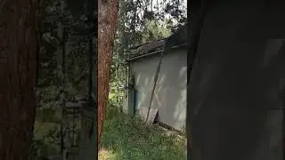 Карагайка 2019.Турбаза