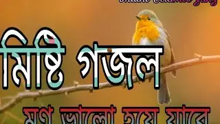 বিদায় বেলা মোরে দিয়োগো, দেখা হে প্রিয় রসূল,,,