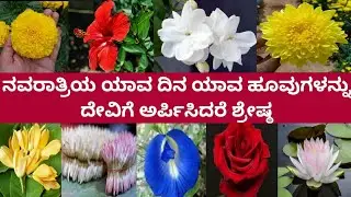 ನವರಾತ್ರಿ ಪೂಜೆಗೆ ಬಳಸುವ 9 ಬಗೆಯ ಹೂವುಗಳ ಬಗ್ಗೆ ಮಾಹಿತಿ|9 Navaratri Pooja flowers|Navaratri Pooja Vidhana